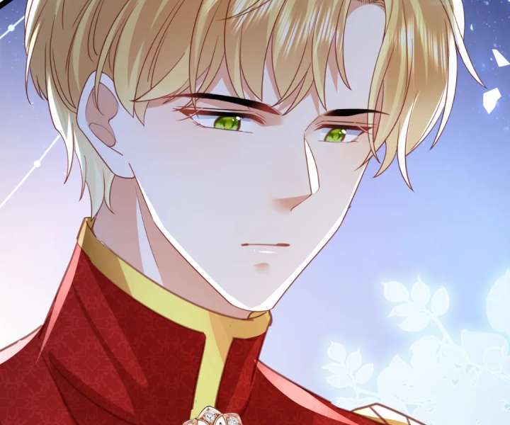 It Is Said That I Am a Fairy Princess Chapter 48 339 62