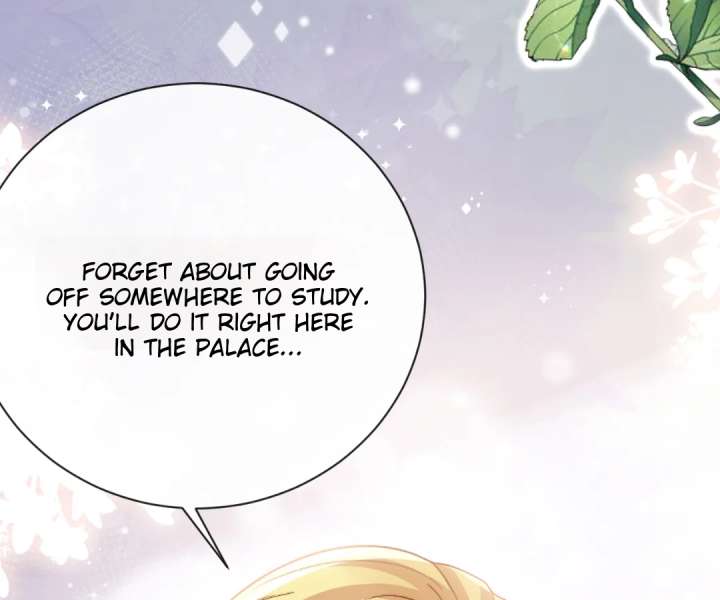 It Is Said That I Am a Fairy Princess Chapter 48 362 85