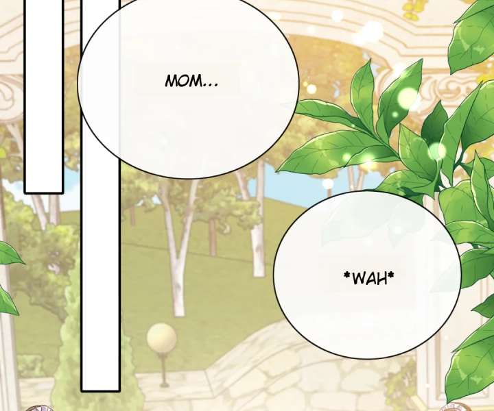 It Is Said That I Am a Fairy Princess Chapter 49 283 33