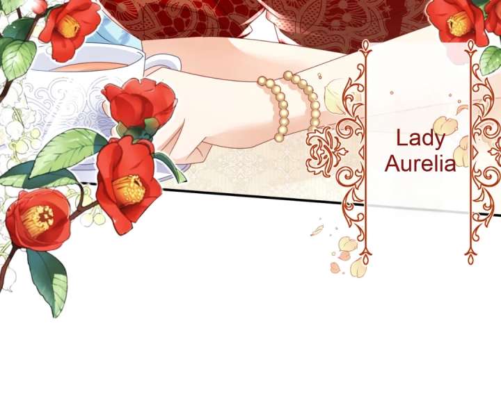 It Is Said That I Am a Fairy Princess Chapter 49 297 47