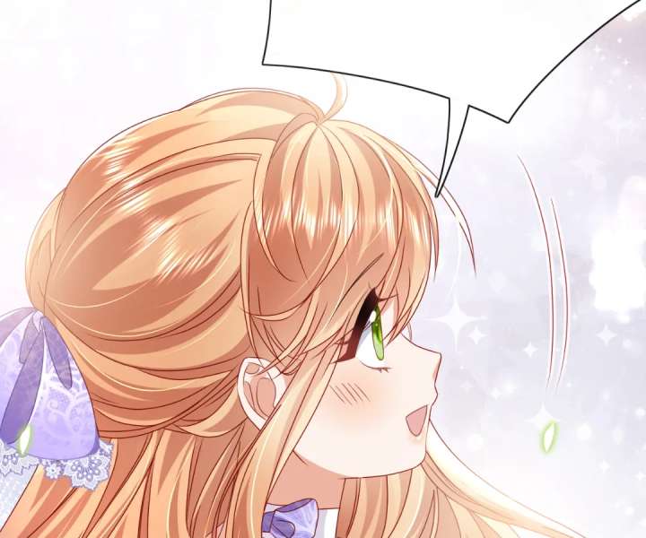 It Is Said That I Am a Fairy Princess Chapter 49 329 79