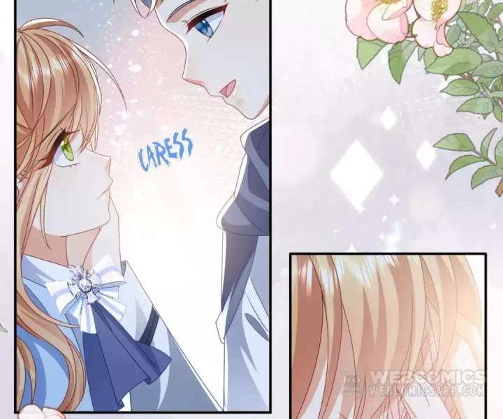 It Is Said That I Am a Fairy Princess Chapter 54 335 67