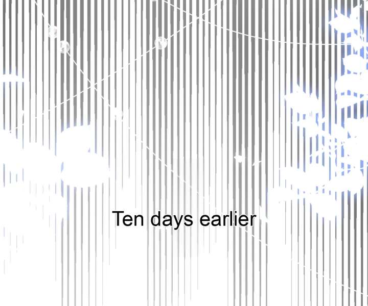 It Is Said That I Am a Fairy Princess Chapter 58 297 50