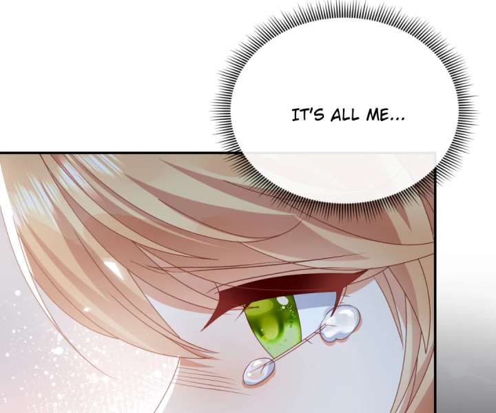 It Is Said That I Am a Fairy Princess Chapter 59 249 17