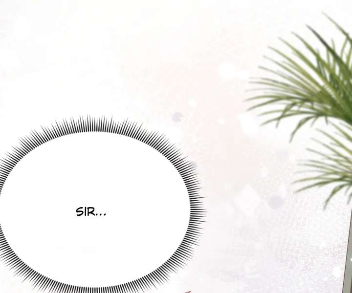 It Is Said That I Am a Fairy Princess Chapter 62 311 07