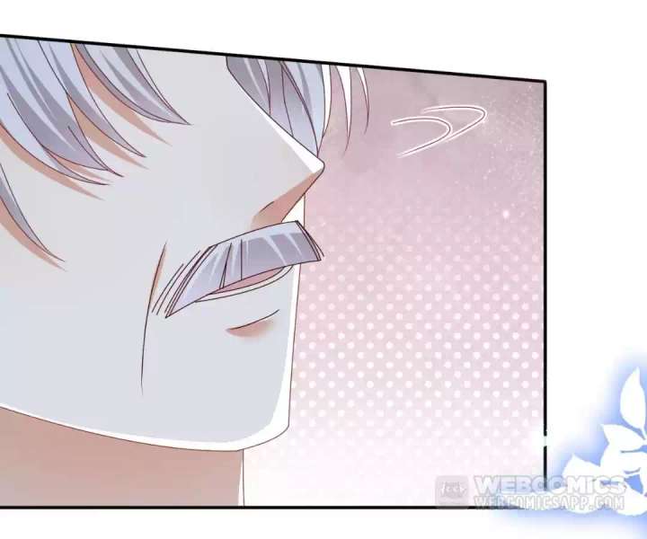 It Is Said That I Am a Fairy Princess Chapter 62 315 11