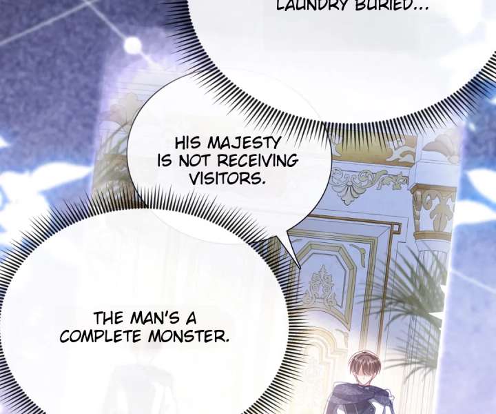 It Is Said That I Am a Fairy Princess Chapter 62 328 24