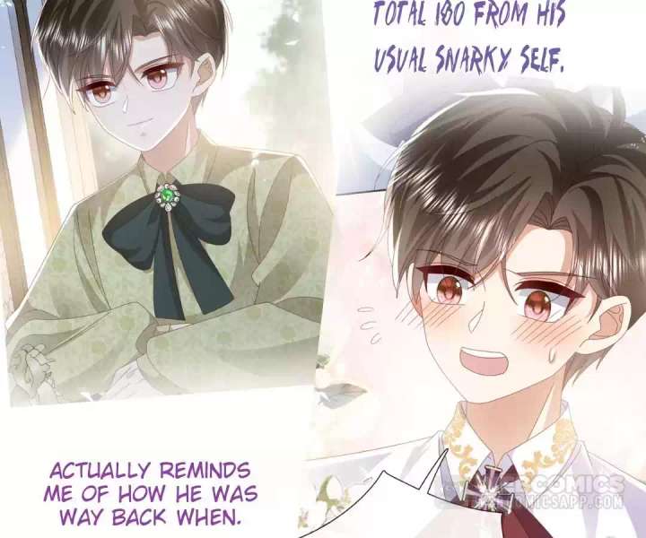 It Is Said That I Am a Fairy Princess Chapter 62 339 35