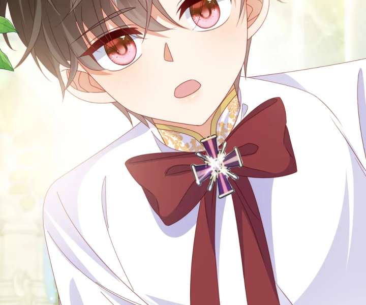 It Is Said That I Am a Fairy Princess Chapter 62 349 45