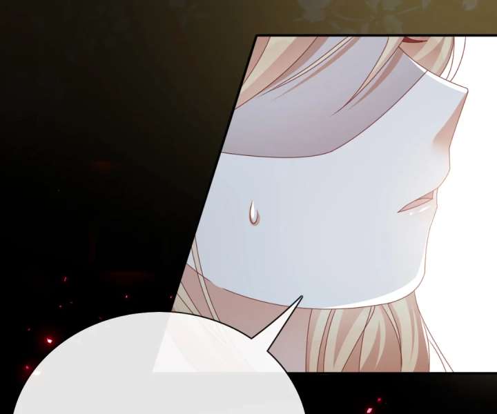 It Is Said That I Am a Fairy Princess Chapter 62 358 54