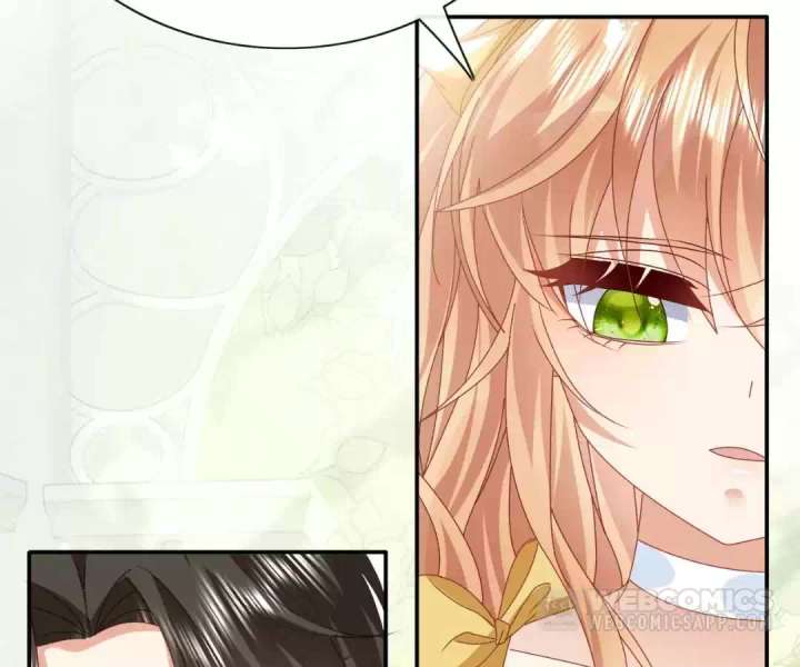 It Is Said That I Am a Fairy Princess Chapter 62 363 59