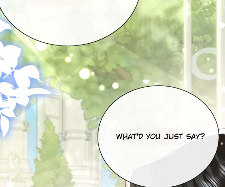 It Is Said That I Am a Fairy Princess Chapter 62 396 92