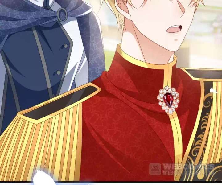 It Is Said That I Am a Fairy Princess Chapter 64 297 11