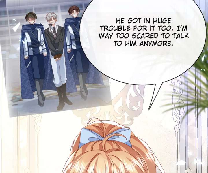 It Is Said That I Am a Fairy Princess Chapter 64 311 25