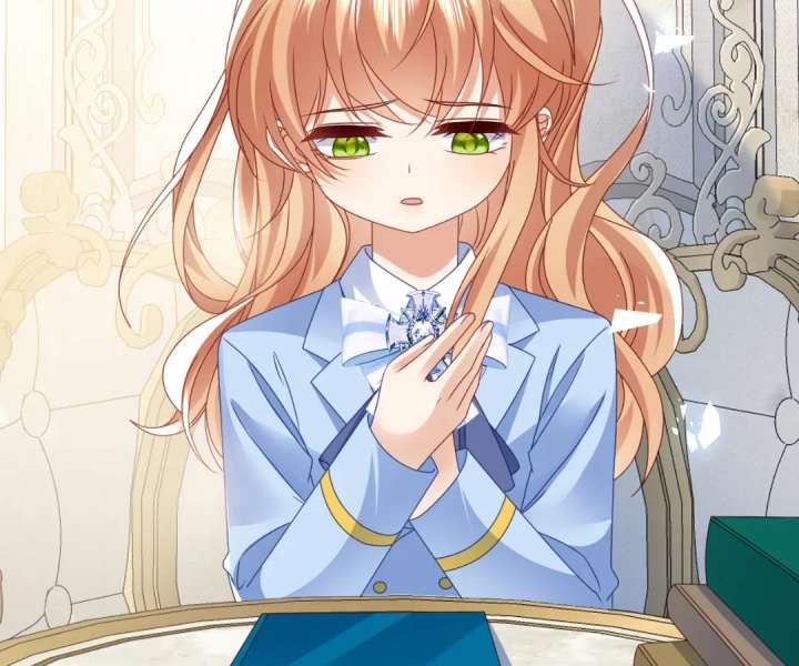 It Is Said That I Am a Fairy Princess Chapter 64 312 26