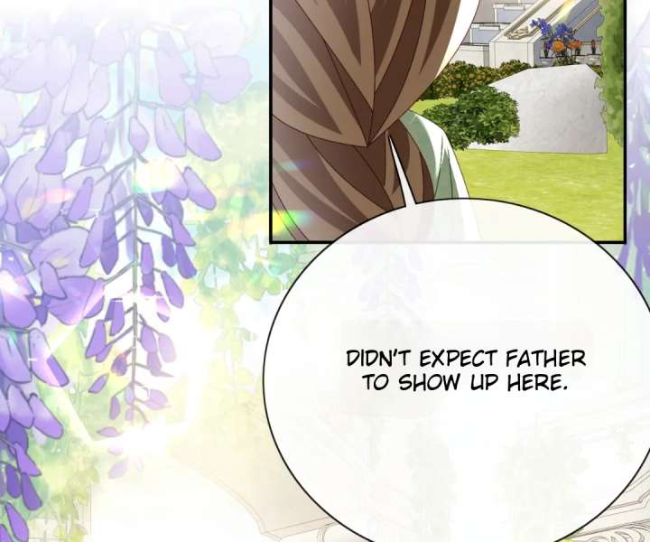 It Is Said That I Am a Fairy Princess Chapter 64 365 79