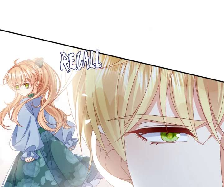 It Is Said That I Am a Fairy Princess Chapter 65 290 22