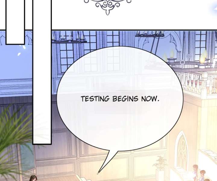 It Is Said That I Am a Fairy Princess Chapter 65 293 25