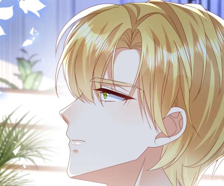 It Is Said That I Am a Fairy Princess Chapter 66 278 10