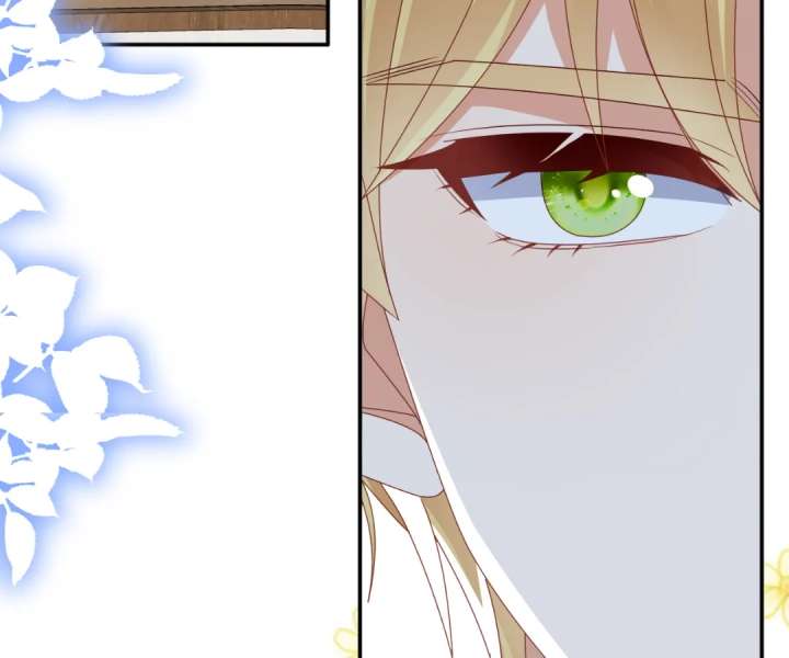 It Is Said That I Am a Fairy Princess Chapter 66 316 48