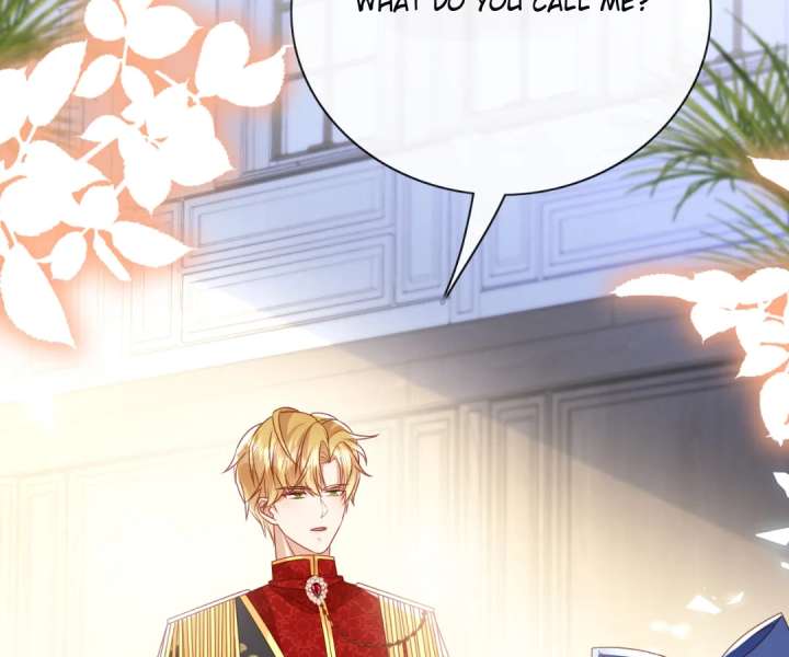 It Is Said That I Am a Fairy Princess Chapter 66 323 55