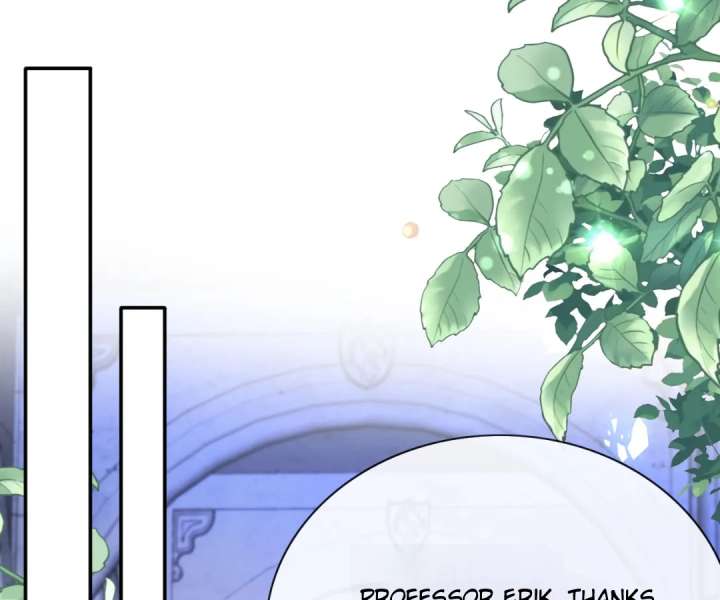 It Is Said That I Am a Fairy Princess Chapter 68 291 26