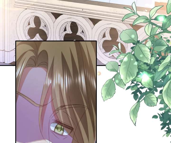 It Is Said That I Am a Fairy Princess Chapter 68 307 42