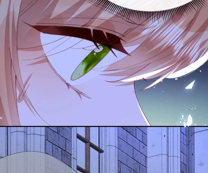 It Is Said That I Am a Fairy Princess Chapter 70 350 040