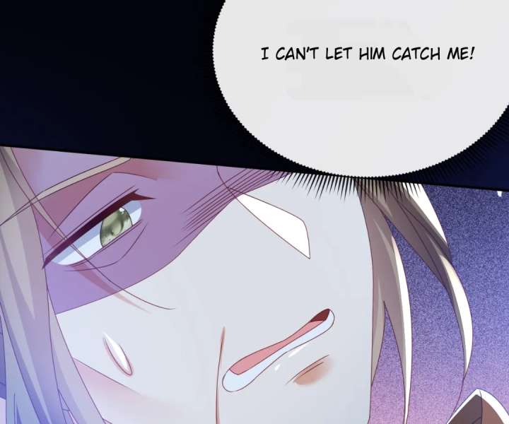 It Is Said That I Am a Fairy Princess Chapter 70 376 066