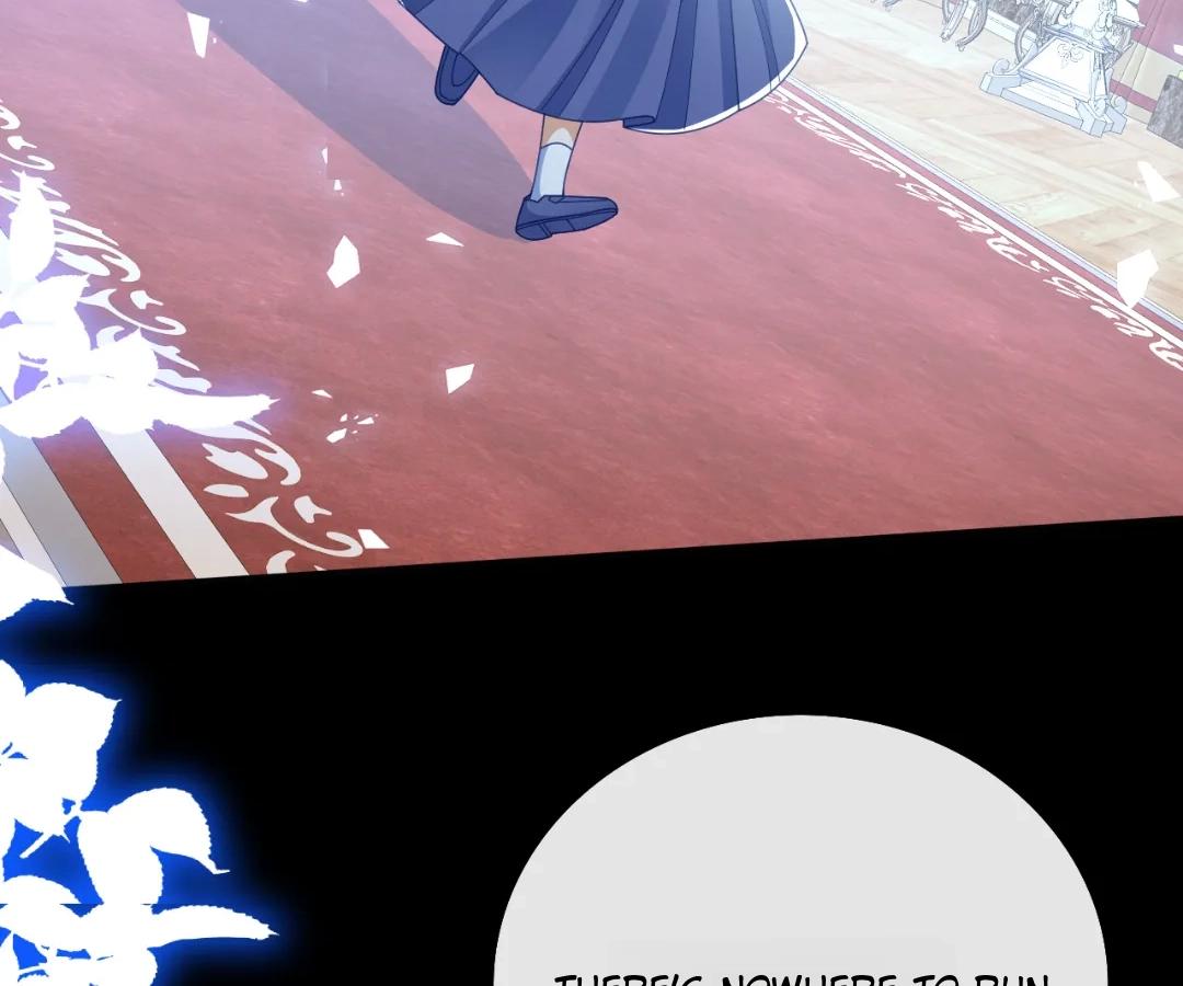 It Is Said That I Am a Fairy Princess Chapter 71 295 36