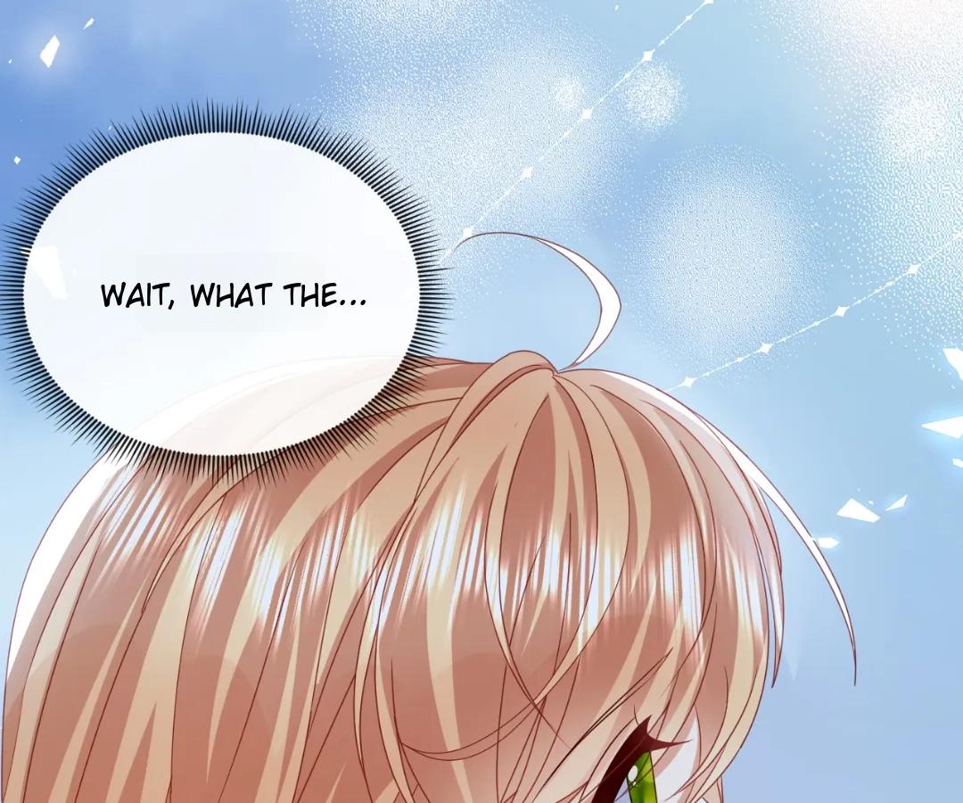 It Is Said That I Am a Fairy Princess Chapter 71 314 55