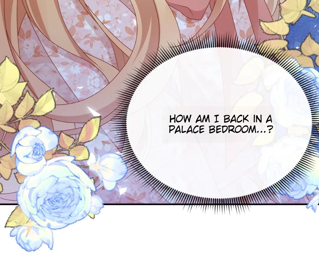 It Is Said That I Am a Fairy Princess Chapter 71 316 57