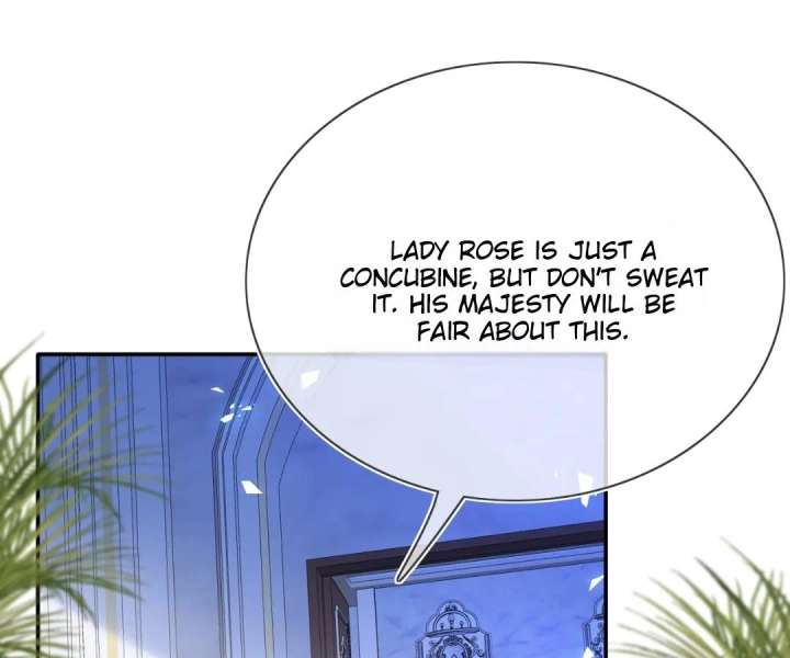 It Is Said That I Am a Fairy Princess Chapter 73 290 22