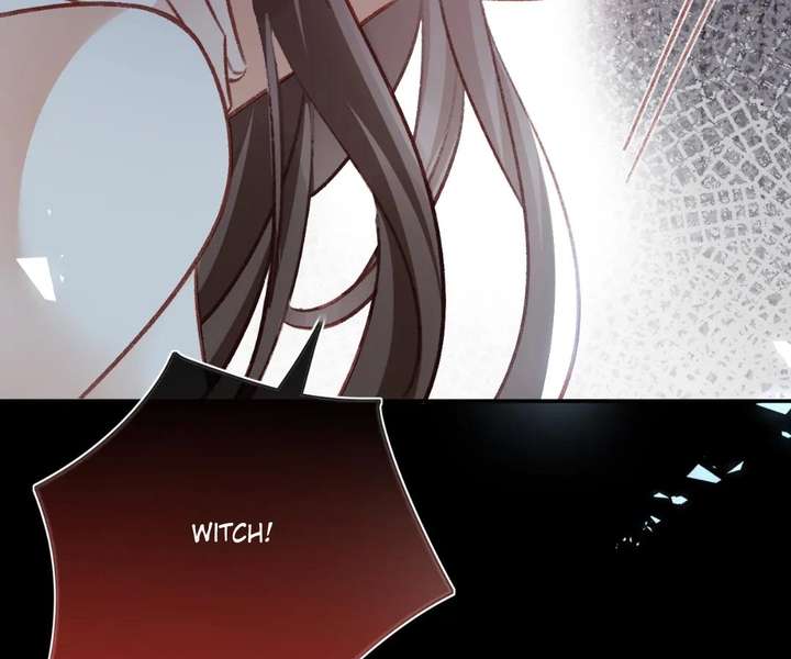 It Is Said That I Am a Fairy Princess Chapter 73 331 63