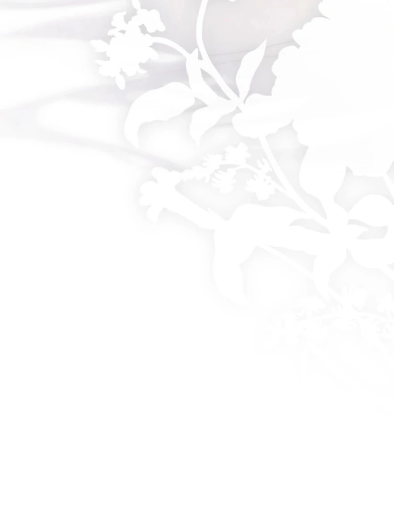 It Looks Like I’ve Fallen into the World of a Reverse Harem Game ss3 Chapter 158 368 022