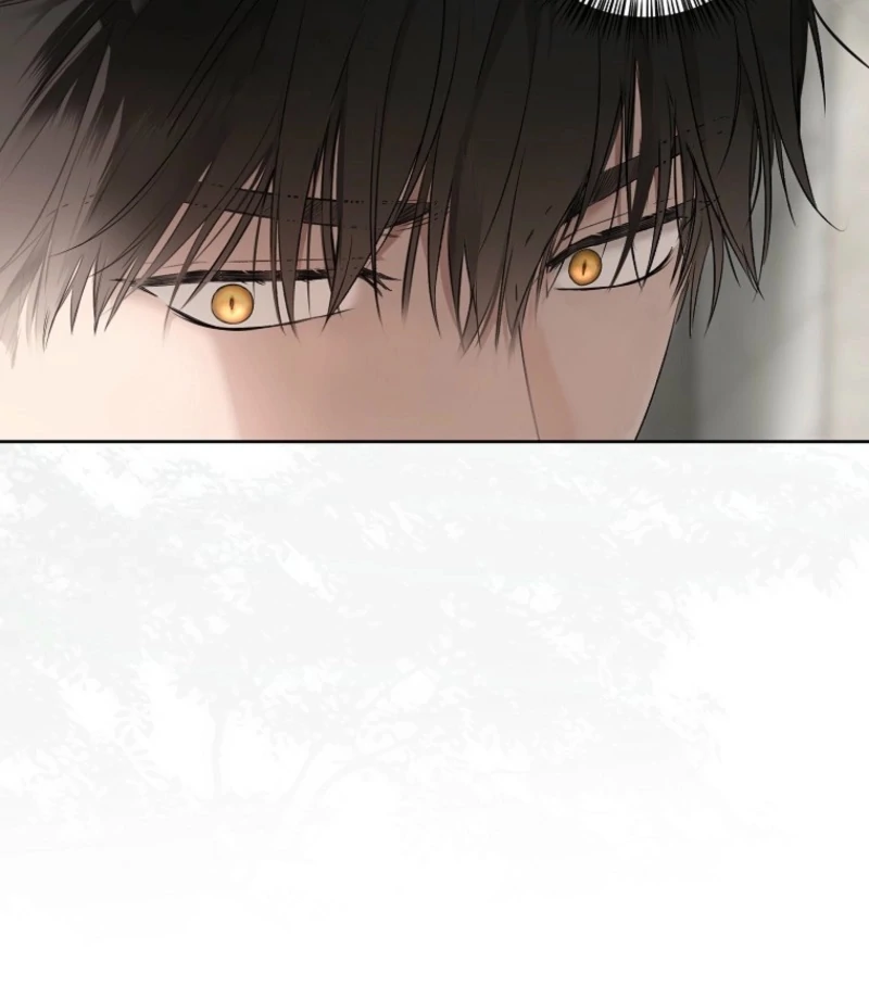 It Looks Like I’ve Fallen into the World of a Reverse Harem Game ss3 Chapter 159 415 042