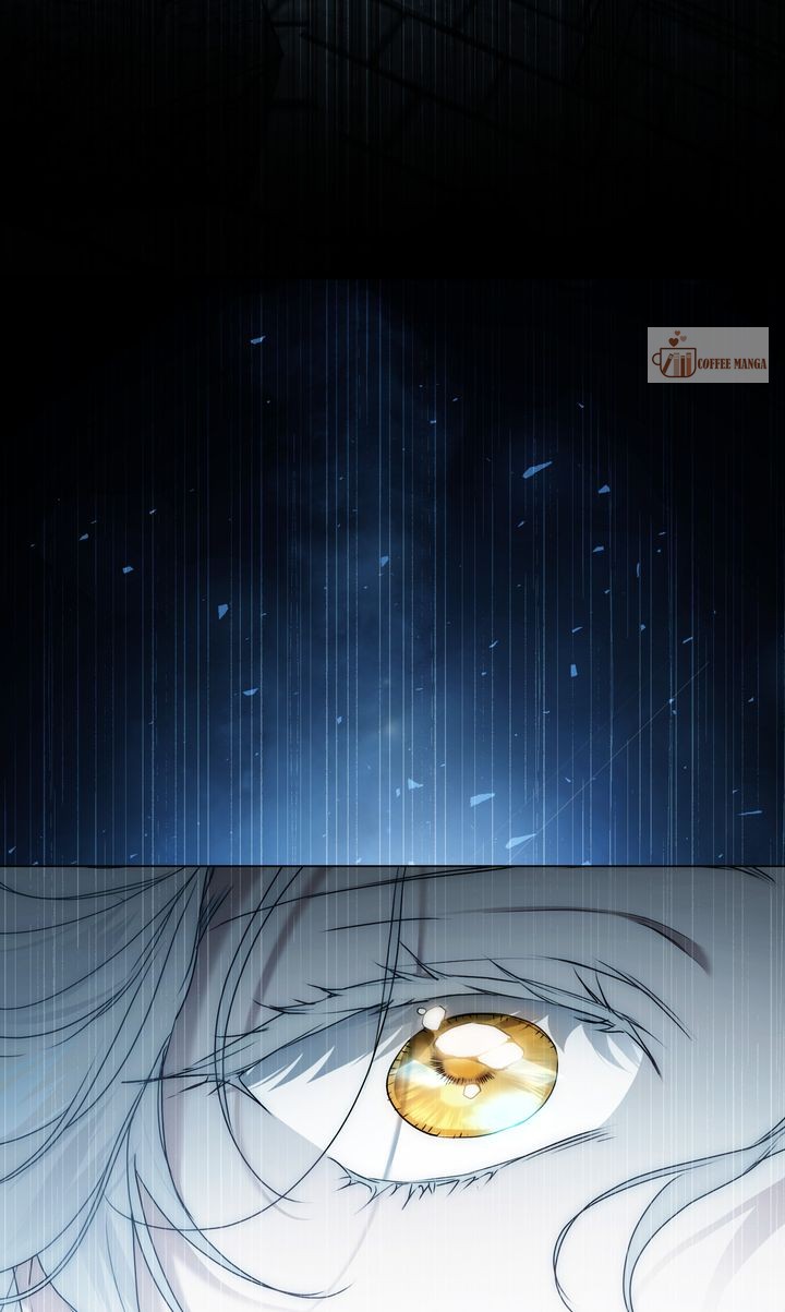 It Was Just a Contract Marriage Chapter 81 343 81