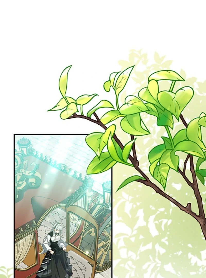 It’s Annoying Because My Childhood Friend Is An Archmage Chapter 50 418 042