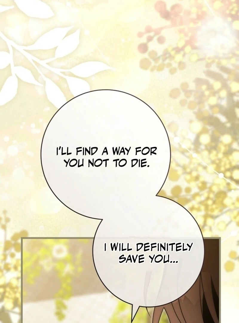 It’s My Destiny To Be The Hero’s Saviour Chapter 150 558 110