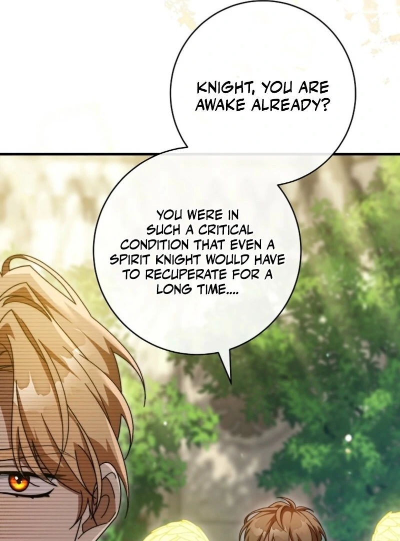 It’s My Destiny To Be The Hero’s Saviour Chapter 151 526 042