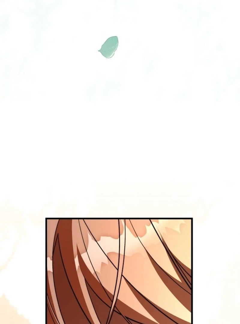 It’s My Destiny To Be The Hero’s Saviour Chapter 152 487 039