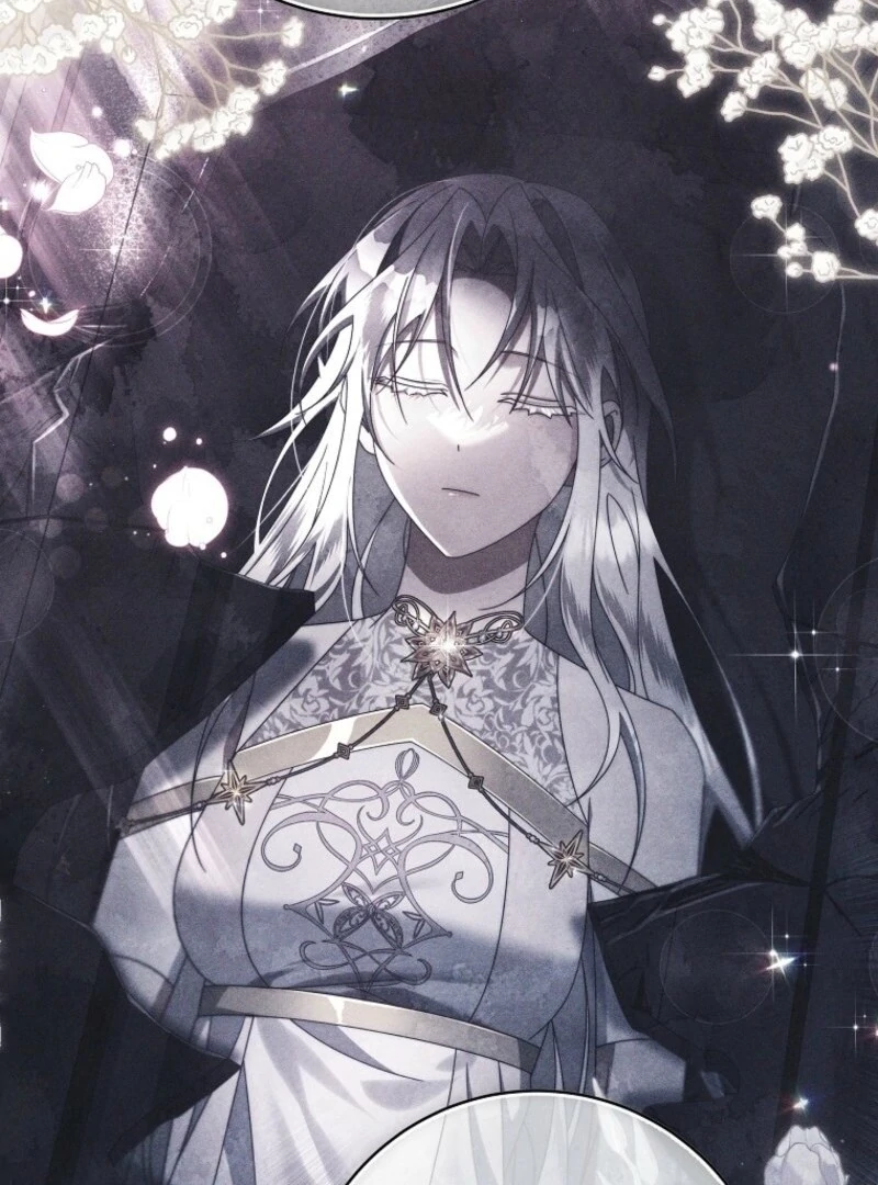 It’s My Destiny To Be The Hero’s Saviour Chapter 152 497 049