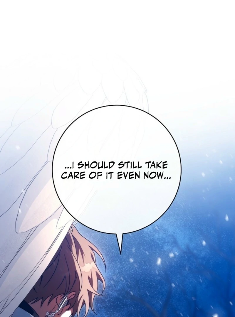 It’s My Destiny To Be The Hero’s Saviour Chapter 154 531 116