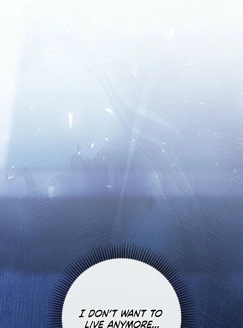 It’s My Destiny To Be The Hero’s Saviour Chapter 158 446 010