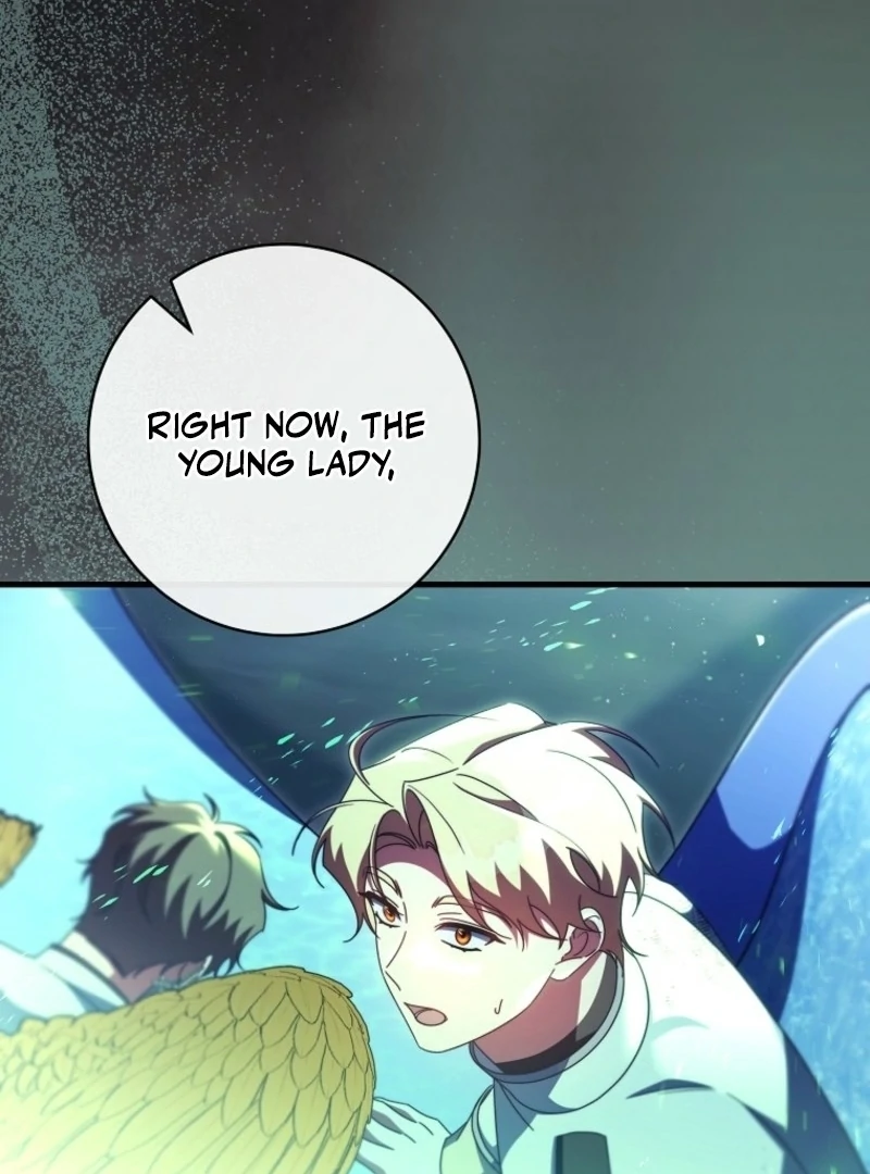 It’s My Destiny To Be The Hero’s Saviour Chapter 158 570 134