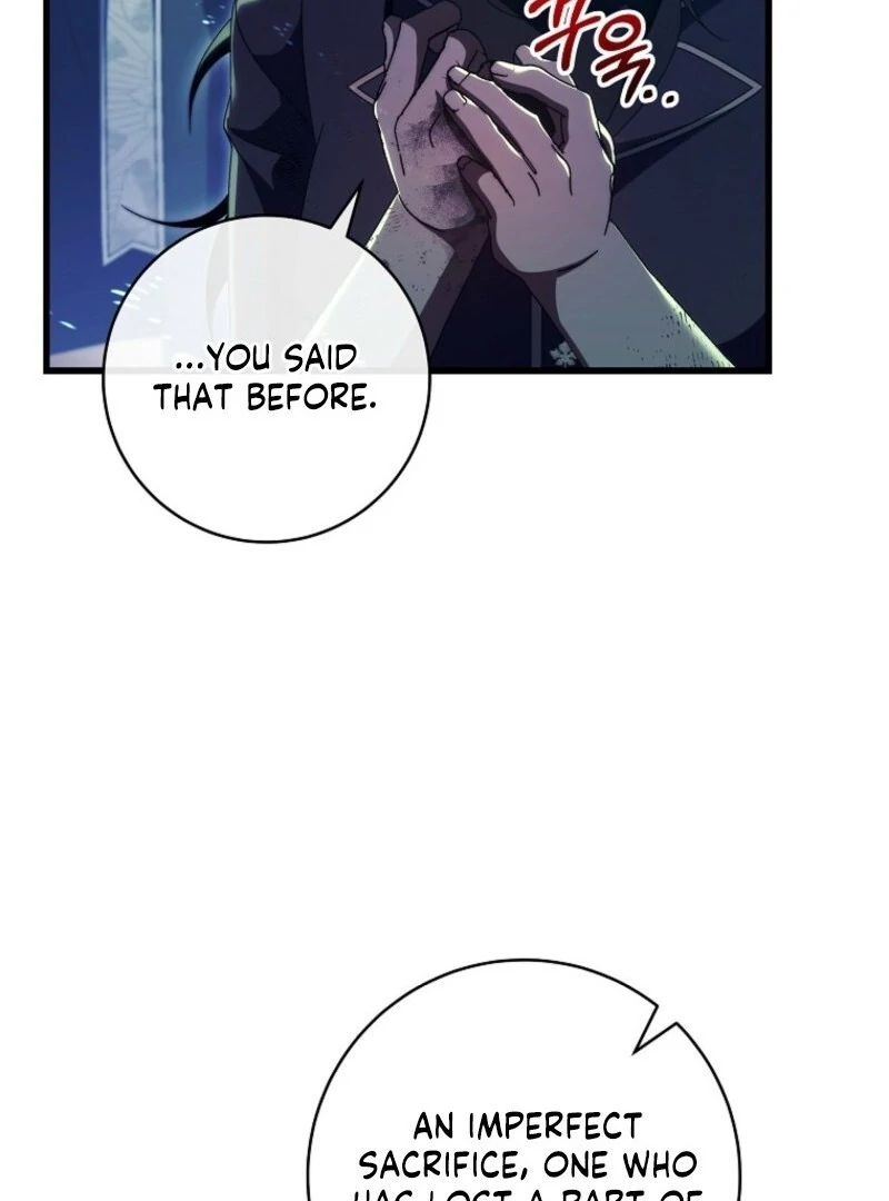 It’s My Destiny To Be The Hero’s Saviour Chapter 159 508 009