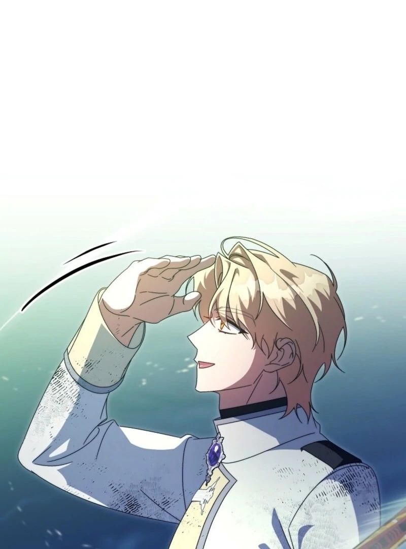 It’s My Destiny To Be The Hero’s Saviour Chapter 159 530 031