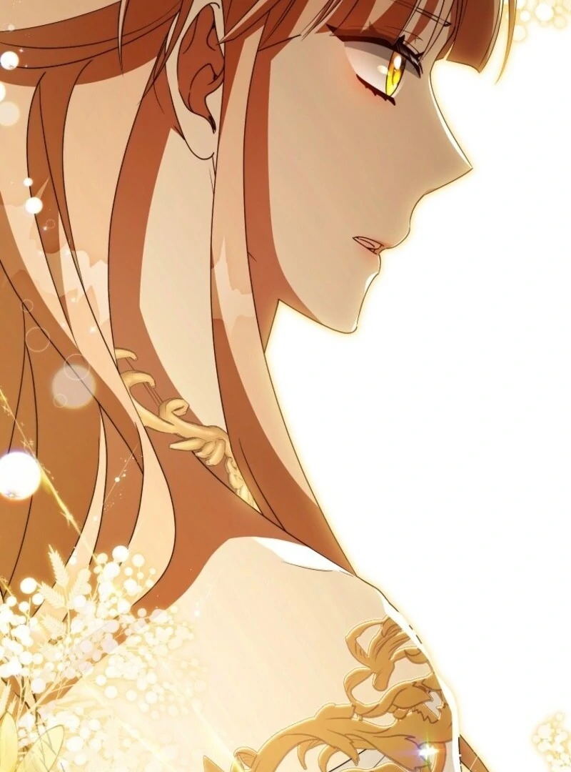 It’s My Destiny To Be The Hero’s Saviour Chapter 159 617 118