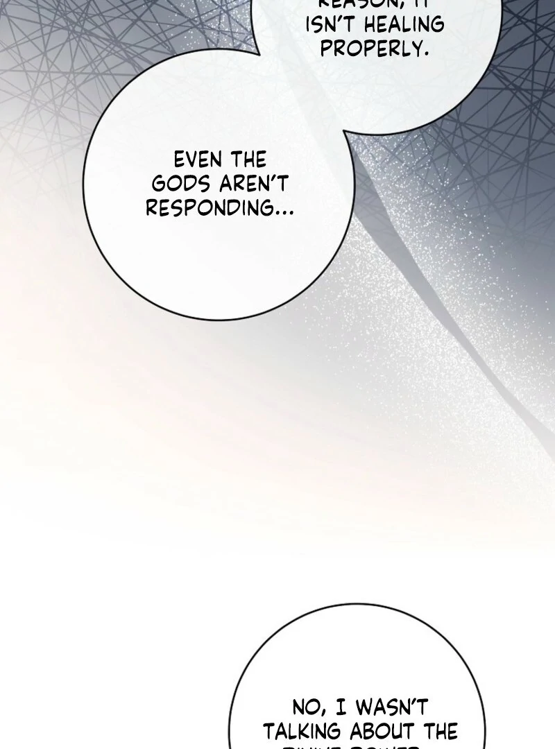 It’s My Destiny To Be The Hero’s Saviour Chapter 162 528 077