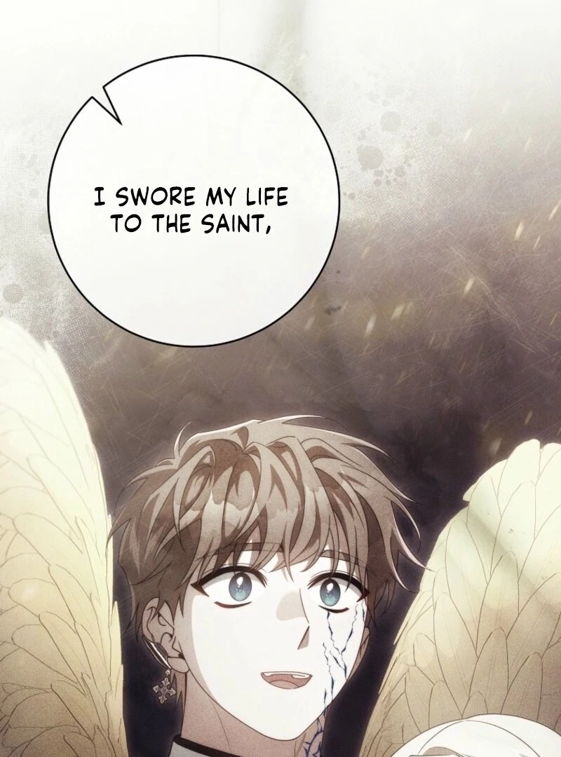 It’s My Destiny To Be The Hero’s Saviour Chapter 162 582 131